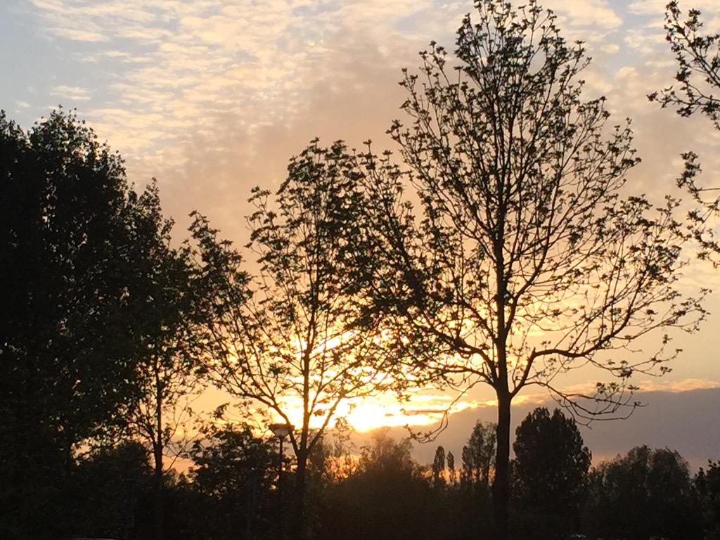 NKapteijns's tweet photo. #SunsetsForShalin http://t.co/9OiAqPbEUn