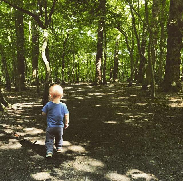 PrinceyUJWorld's tweet photo. Walking in the forest with daddy πΆπ¦ #PrincetonJAlexander #WalkingWithDaddy #Forest #SummersDay #SunnyDay #BlueEyes http://t.co/GgHPk9vIl6