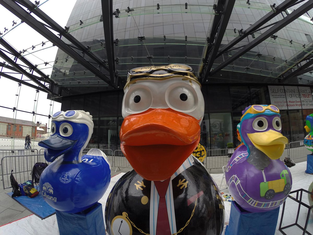 YOLiverpool's tweet photo. Liverpool Duck Trail #LiverpoolDuckTrail. Images: Robert Yelland. #DuckSnap #SaveTheTrail @AquaDucked http://t.co/24ir7CFwvX