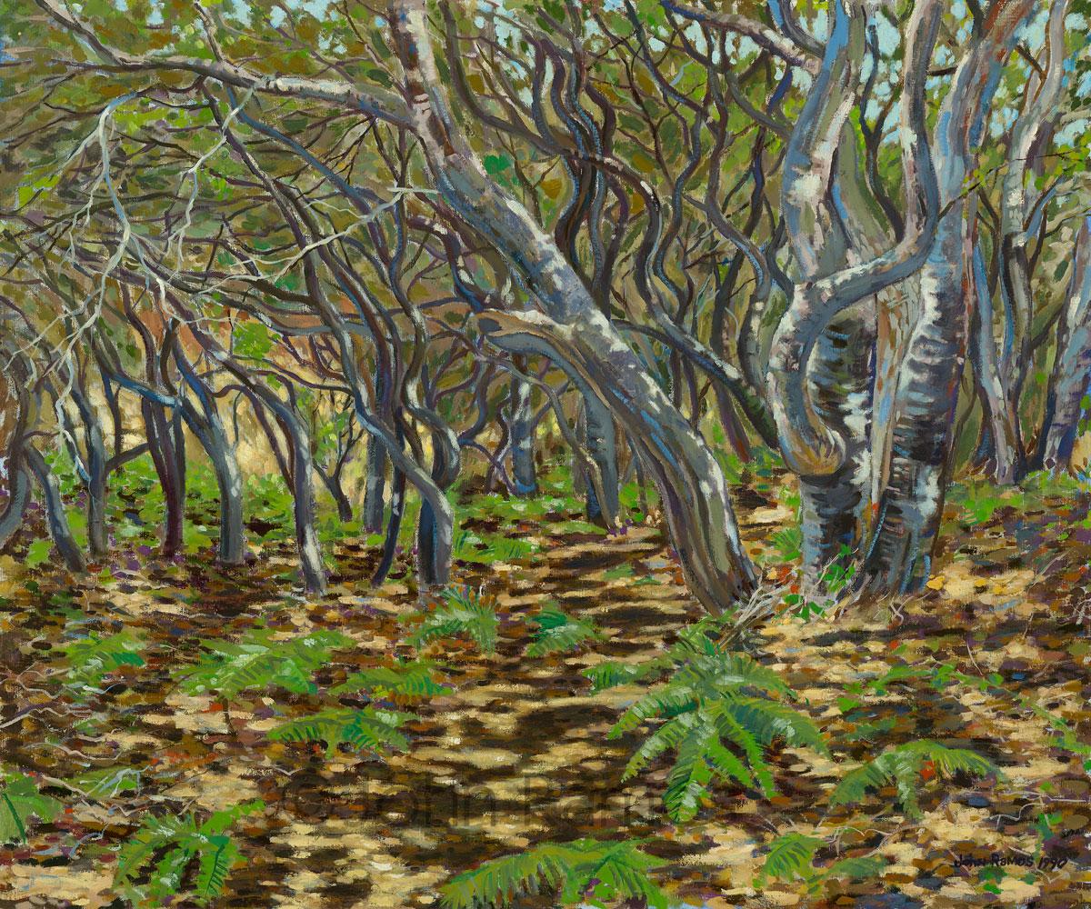 RamosGallery's tweet photo. Did you know our site now features Johns latest originals?
http://t.co/aJDmk35wbx #Caart #Oaktrees http://t.co/t0TMQMJ9fL