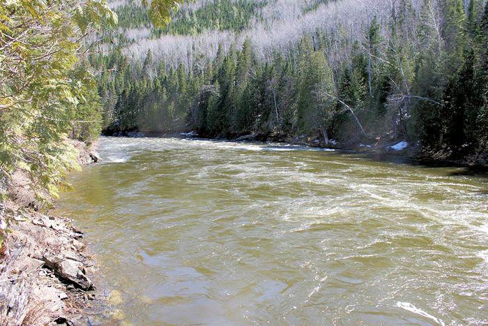 QuebecSporting's tweet image. York River - May 13,2015 Murdoch Pool
Looking good for the opening, May 25th
#quebecsporting #guideservice #gaspé