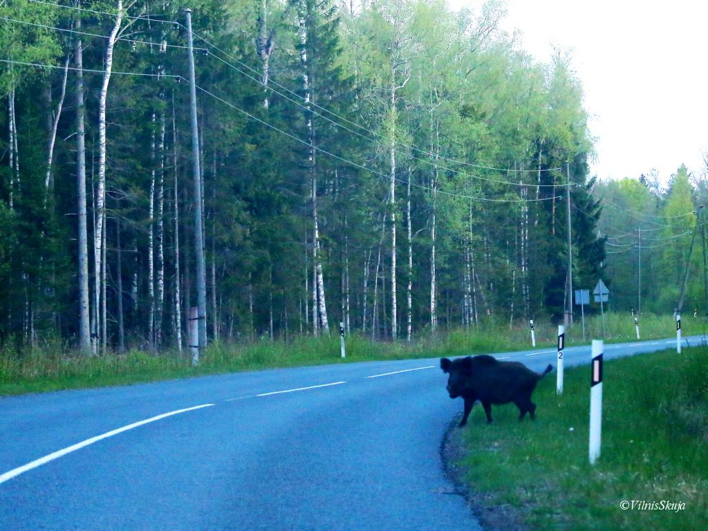 stopētājs Šlīterē/ 21:10/
 -Līdz Rīgai paņemsiet?-