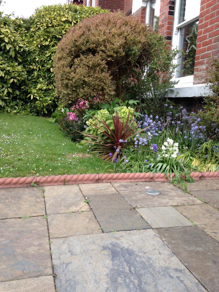 DFPortswood's tweet photo. The garden is blooming and cakes are being baked!! Looking forward to lots of chats on Saturday- http://t.co/yOXuAIMYGZ