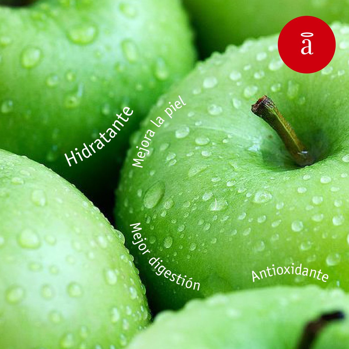 santapizza's tweet photo. Verde que te quiero verde. http://t.co/vJ0eVgKIde