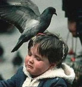 vennile_com's tweet image. 