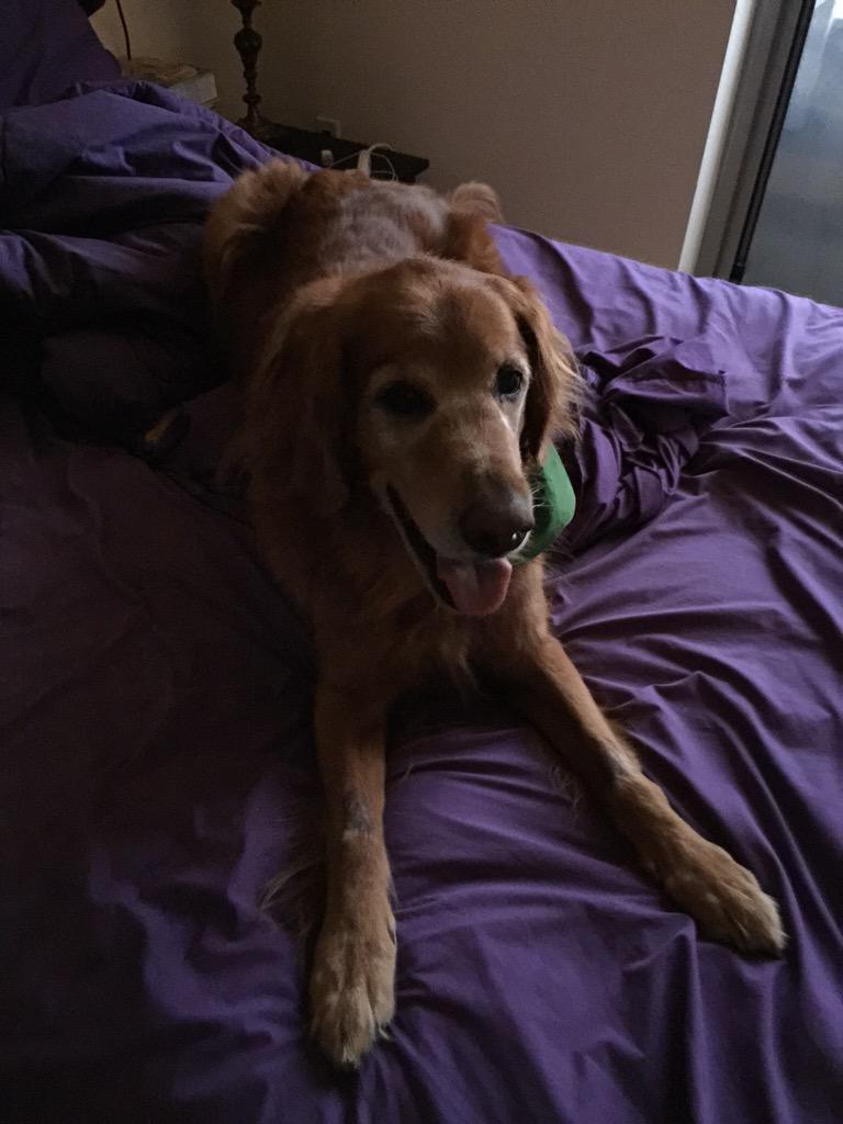 Scott Ediger (@scottediger) on Twitter photo 