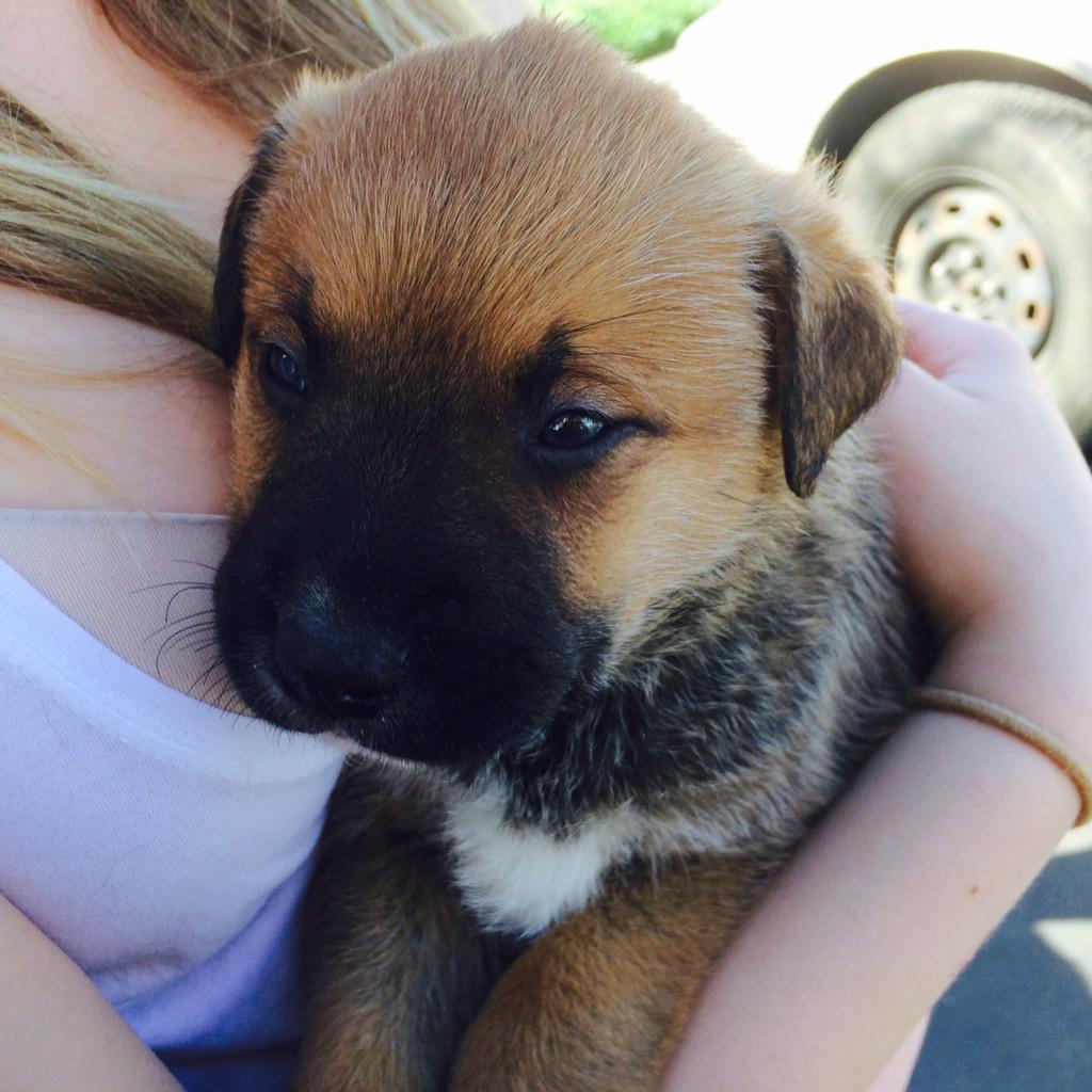 donateforpets's tweet photo. Friendship with pets lasts forever why not start today 🌍🐾😍🐶 http://t.co/zsZuey3iln