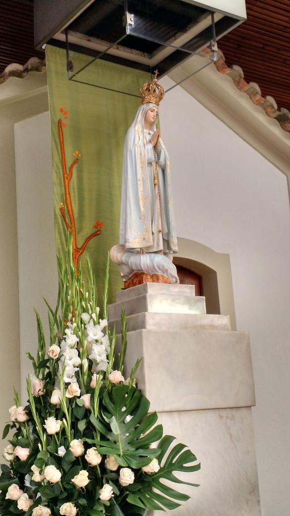 nospassosdopapa's tweet photo. Em Fátima rezo por vcs. Os trago no coração http://t.co/KTynXtLyqP