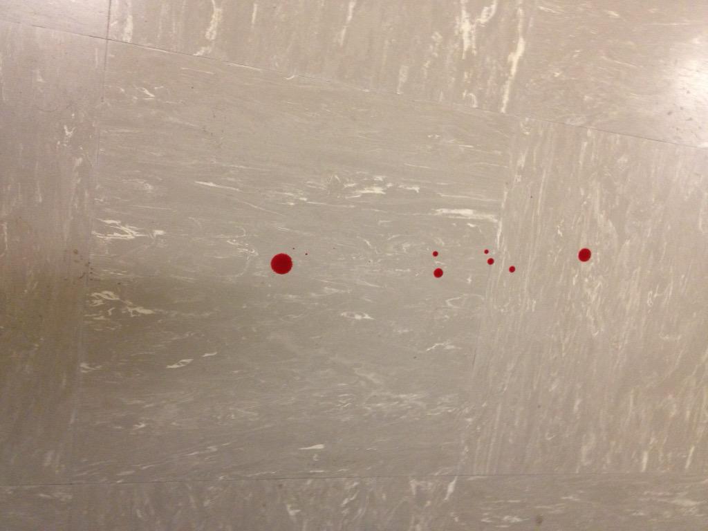 EmilySausman's tweet photo. Aspiring artists of State High put their blood into practicing on the south building floors #DocumentTheState http://t.co/Eb7qY3nKZ8