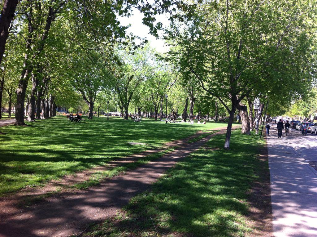 MattKeyesActor's tweet image. Parc Laurier is my fave. Walk by it every day. #montreal