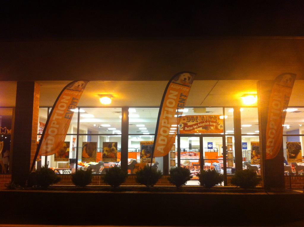 RedDogProjectCT's tweet image. We're ready!!! Bring on the weekend (and adoptions)!!!  Godogdays.org