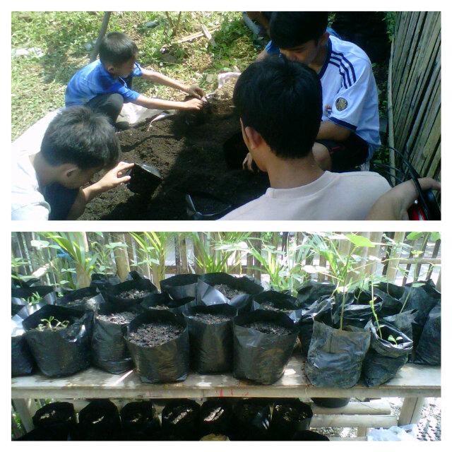 tarka06cbk's tweet photo. Karang taruna 06 Cinbangkong sedang melaksanakan kampung berkebun @ridwankamil @kartaBDG @D_Sopyana http://t.co/9UzYiuPgBE