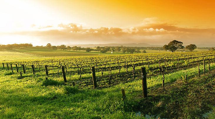 JoiedeLB's tweet photo. Whoa! Go #Sonoma- Promising to be the nation's first #sustainable #wine region #dogoodwork http://t.co/wBywlHJfk6 http://t.co/jJAs95i1qX