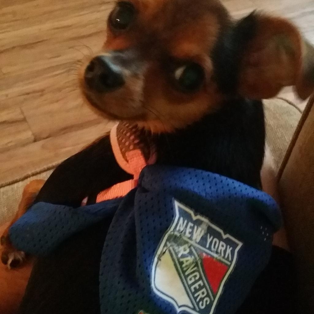 #LetsGoRangers  #lgr #thiscityneedsamiracle