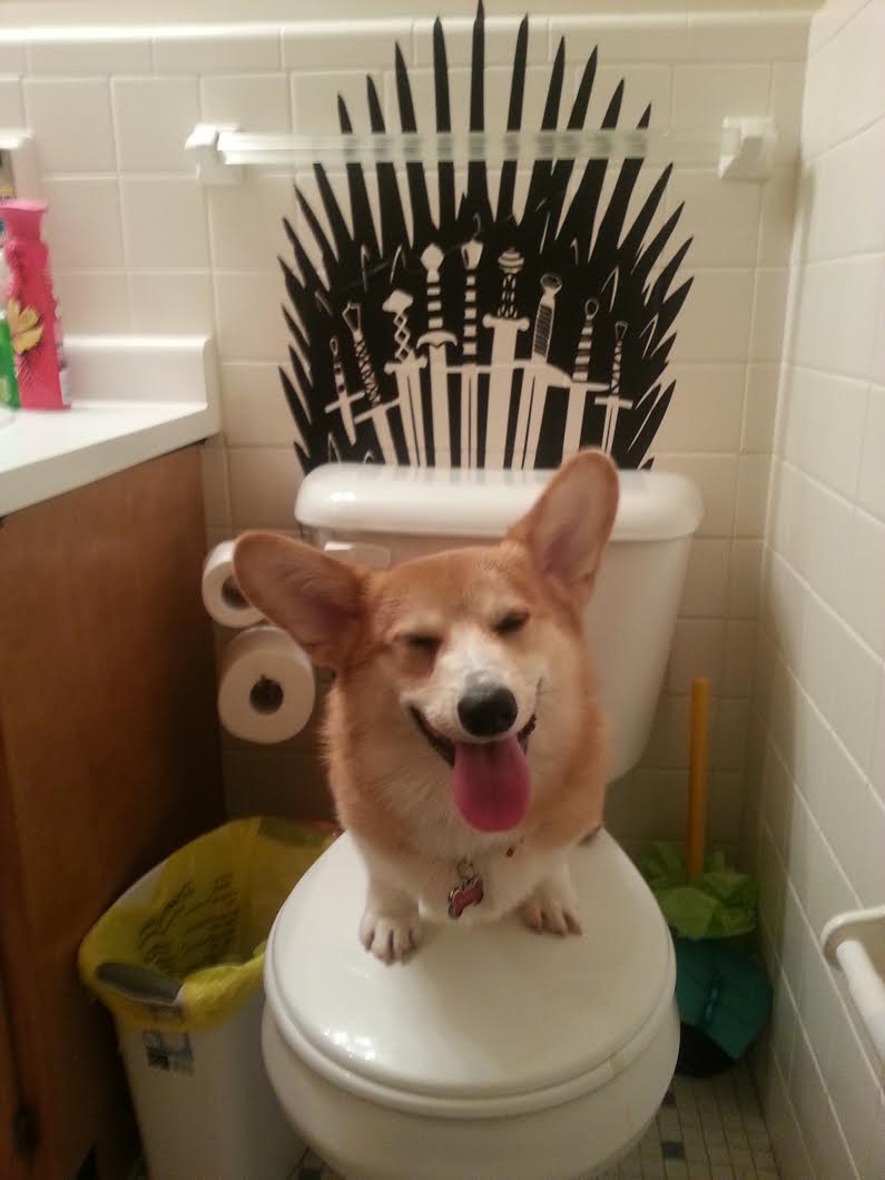 GRRMspeaking's tweet photo. Our Fan of the Month Heather Wyatt, and Jean-Luc Picorg.  Thanks Heather! http://t.co/aYcOD15cFE