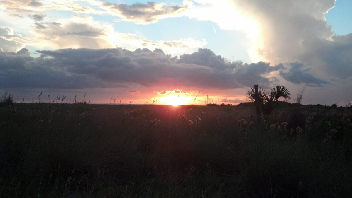 SuncoastSosh's tweet photo. Why We Love #Sarasota http://t.co/yufVk3FGq3 http://t.co/JQikBnnXMC
