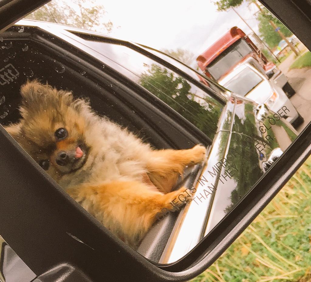 ConstantlyOnOne's tweet image. Yes driver, take a right at the next block please.