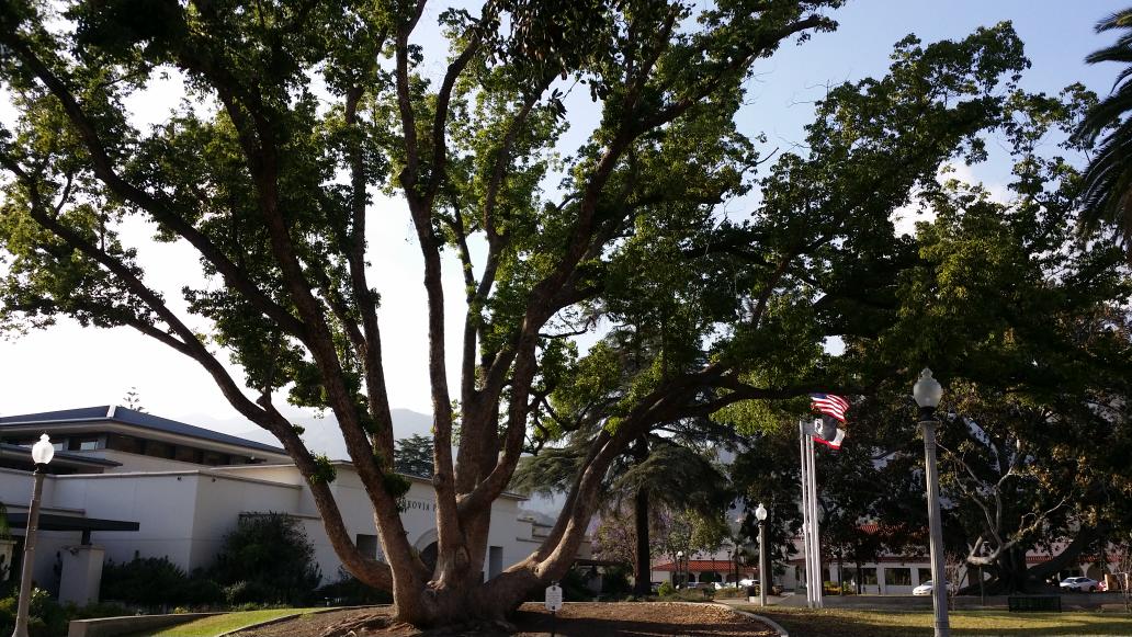SameeaKamal's tweet photo. Sometimes the best cure for a headache is fresh air, straight from the source #monroviapubliclibrary #mydayinla http://t.co/pyctGwrgmQ