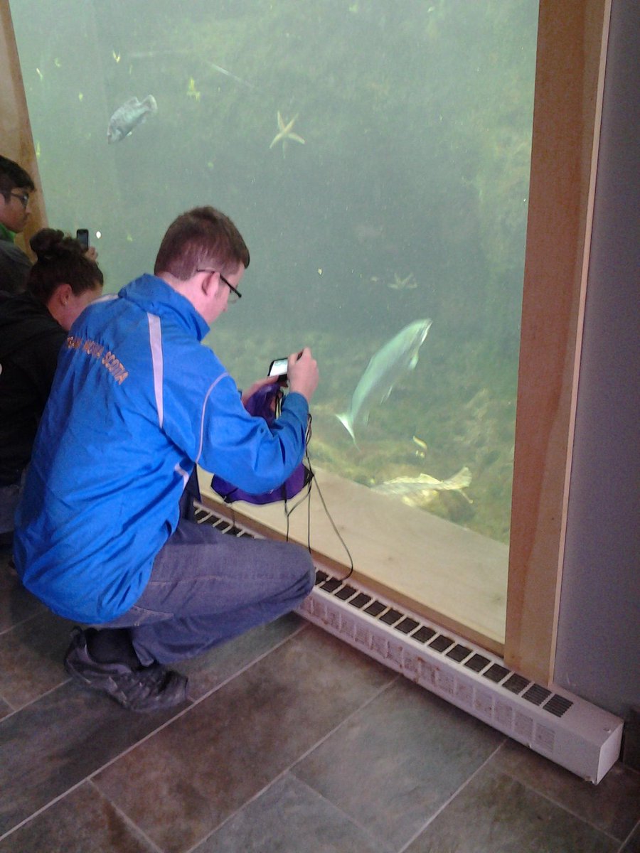 SRSFCoders's tweet photo. Tour day at the aquarium. #cwsf2015 http://t.co/gRAB8d78Kv