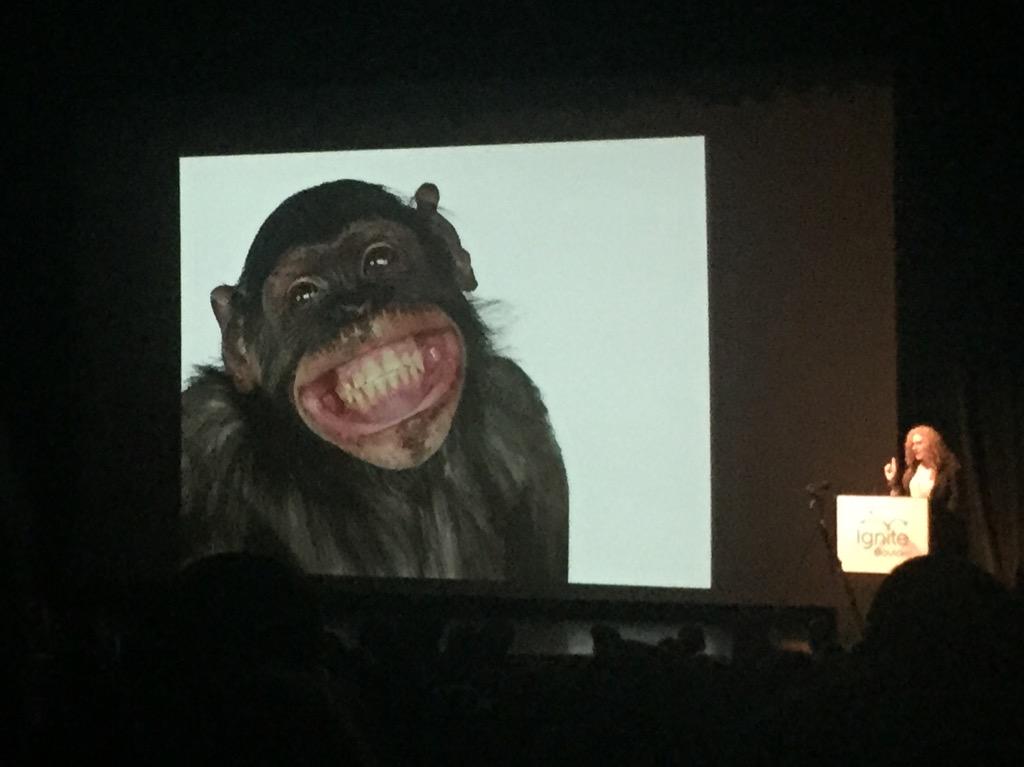 HalieNoble's tweet image. Everyone has to have a cute animal slide. #igniteboulder @mcauerbach