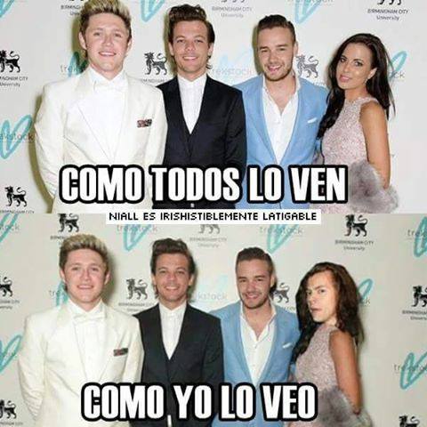 Gabrielapayne28's tweet photo. jajajajajajaja cierto es verdad #1DisFinallyFreeFromModest http://t.co/zXciisfzzo