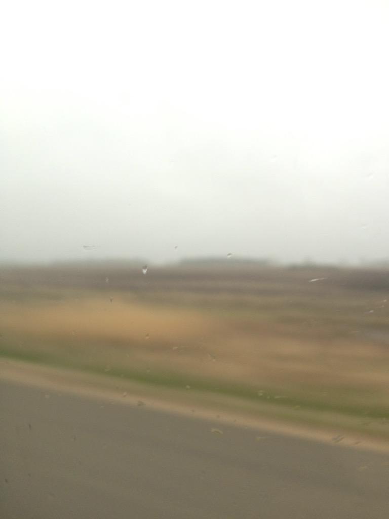AuroraF1team's tweet photo. May be wet and rainy but aurora still manages to Light Up The Track 😋 http://t.co/ddR0dAeXpo