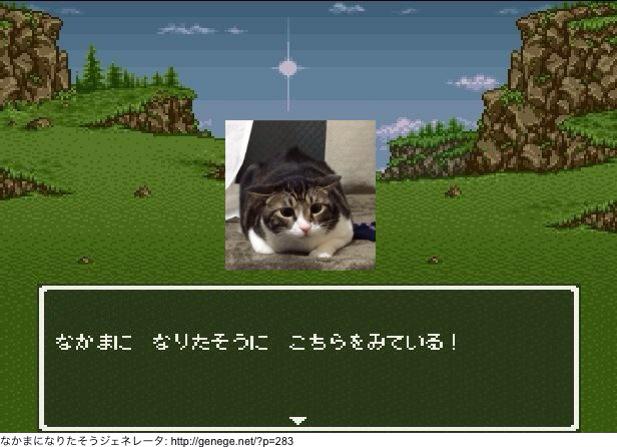 Guri_cat's tweet photo. http://t.co/BWpUcEbkPa