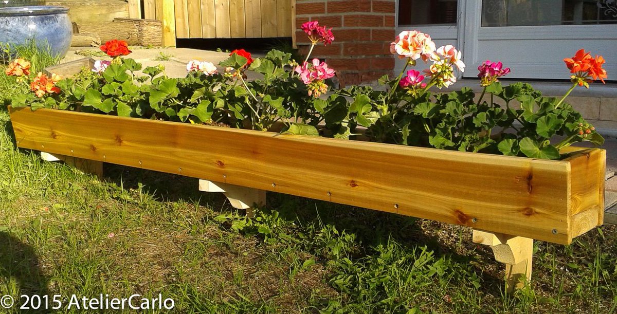 AtelierCarlo's tweet photo. Here is our celebration for summer. Just add water... Beautiful #cedarwood 
http://t.co/pw62kEpmhC #formeremortals http://t.co/0urGA1dOLd