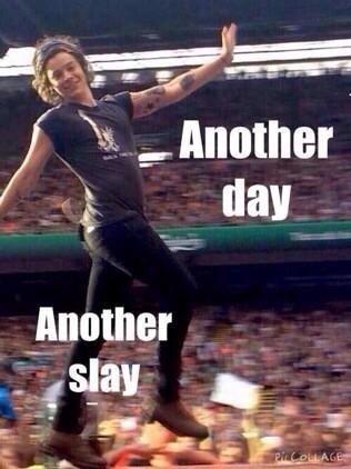 sugarscape tweet picture