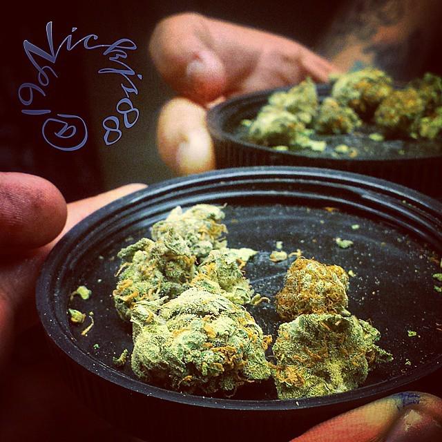 weedpraylove's tweet photo. #stonernation420 #topshelflife #bhomb #cannabiscommunity #chronic #crystals #firestrains #killerstrains #dankfeed #… http://t.co/qR2RG2fy98