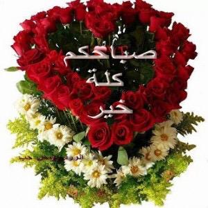 duftugfu1's tweet photo. @shokrytigar @muna_daboubi http://t.co/SSBz0I6Blz