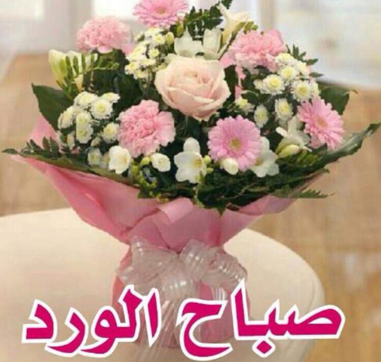 <a href="/abomohamd313/">‏أبومحمد</a> <a href="/4Shia/">ريتويت4⃣شيعة</a> @Jasem_kuw @Shiaafollow @LailAlsahara  <a href="/RTShia14/">••|ريتويت الشيعة|••</a> <a href="/tooot_74/">المواليــــ✋ــــه</a> <a href="/r3boop313/">د.عيون الحقيقة</a> <a href="/RAlmwali/">raghed almwali</a>  <a href="/Ahlelbayt/">أحاديث #أهل_البيت عليهم السلام</a>