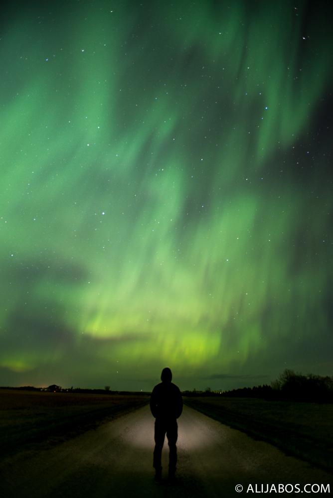 My how to on seeing and photographing the northern lights:  alija-bos.format.com/explore-more-w…