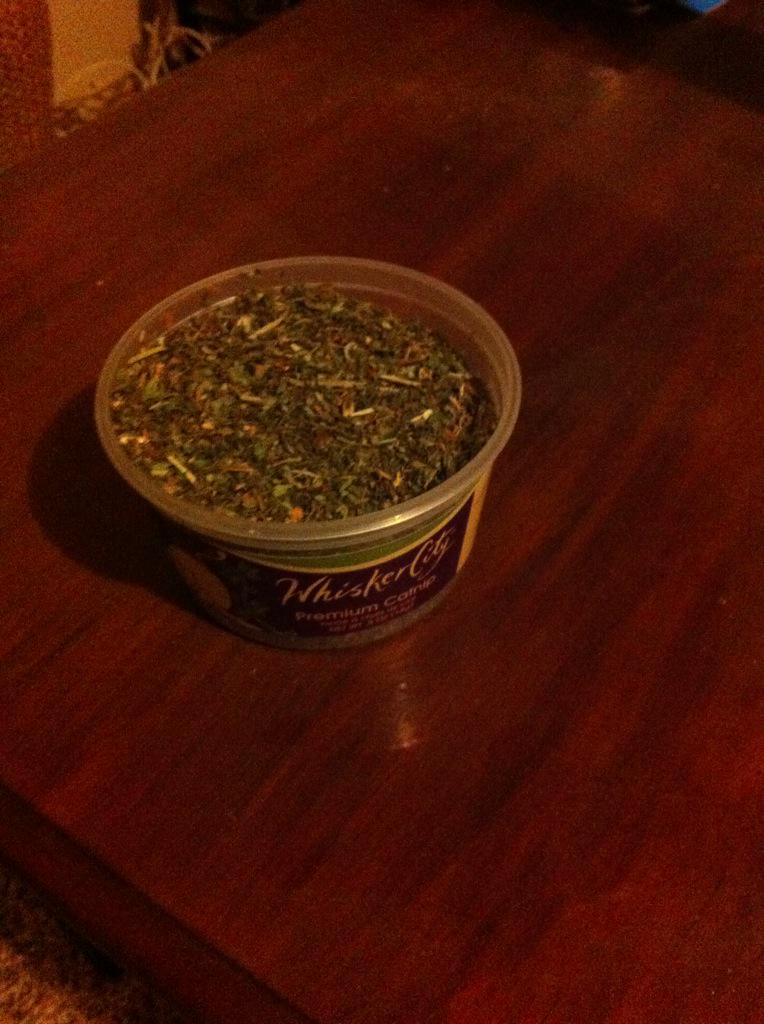KoolkatMoses's tweet image. @el_messiah_21 Hooked it up with that dank catnip #bestbirthdayever #faded #catnipaddict 😼😼