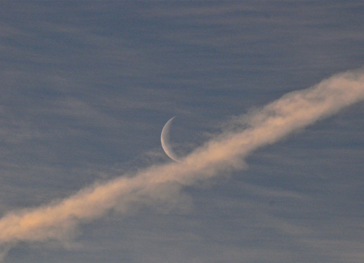 countrymousie's tweet photo. A new dawn #sunrise #Suffolk #cloudystart #moon http://t.co/BChAy2BO9J