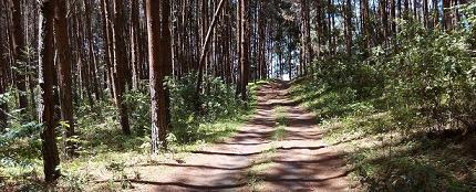 Xtrymadventures's tweet photo. #XtrymAdventures Iveti Hills Trek May 16th. #XtrymHikes #XtrymFriends  #GoXtrym #TembeaKenya  https://t.co/t0cTfh1esL http://t.co/EfxzOmNAoM