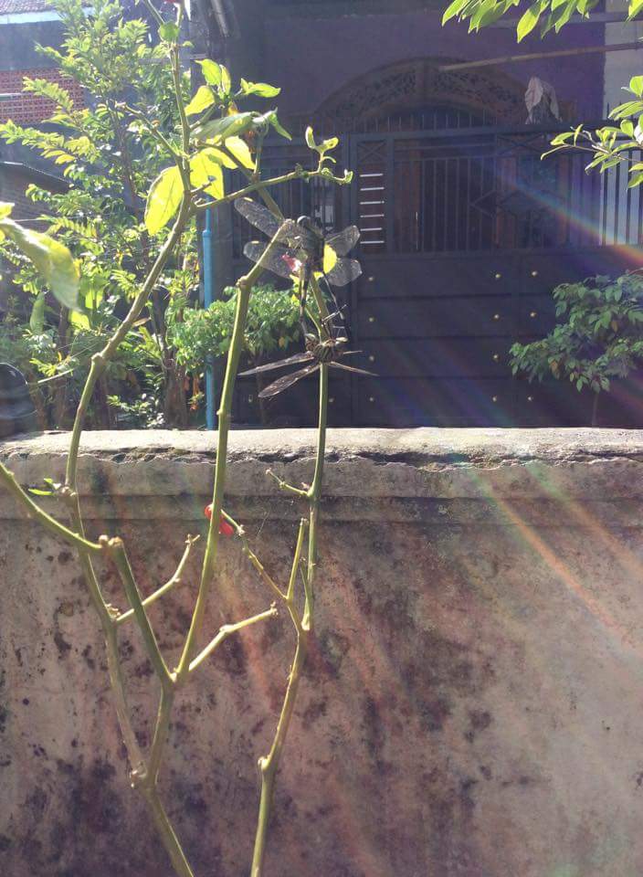 Be happy &amp; enjoy it!