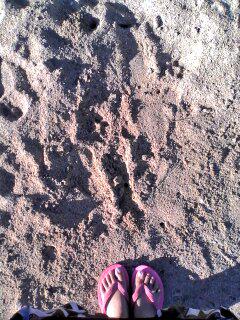 QuaizelShopa's tweet photo. Summer 2015 ∆ http://t.co/lU0HQSzluK