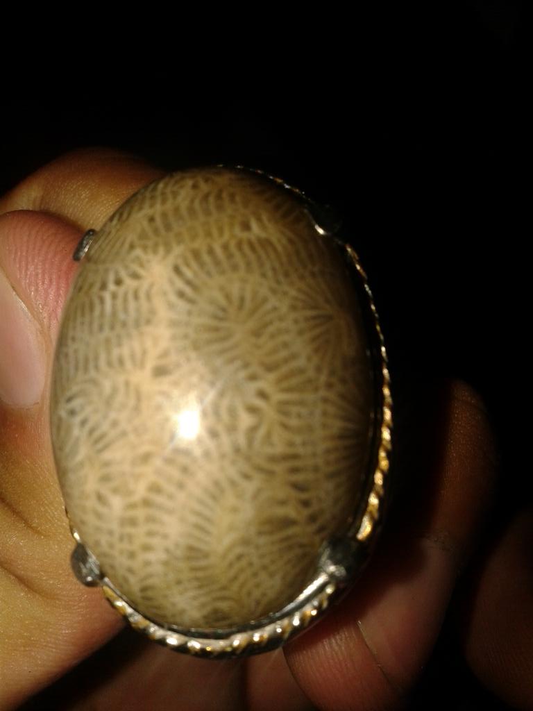 adyadycom tweet picture