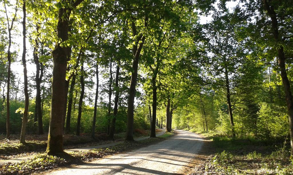 Bosw8erJanneke's tweet photo. Lekker naar buiten vandaag met Hemelvaartsdag.... http://t.co/zDNt70scc0