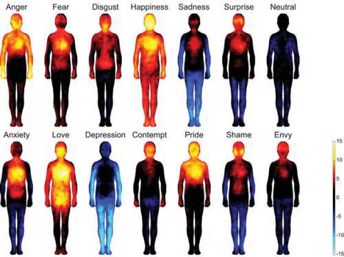 LarsLS's tweet photo. RT NONverbaaltje.nl Uit het onderzoek van Aalto University - How moods affects your body temperature http://t.co/rkoVtSMp9c