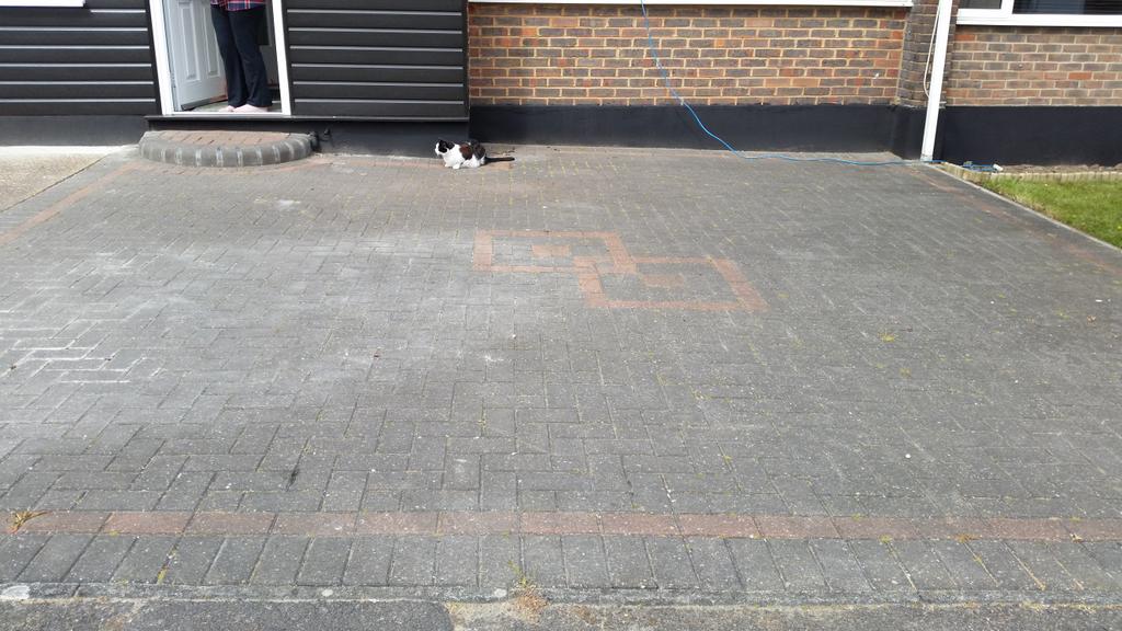 trustedquality's tweet image. 