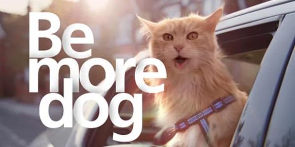 CampaignBrands's tweet photo. O2 head of brand: we trained 600 staff to 'Be More Dog' http://t.co/AtdRN9U8fx by @benbold http://t.co/zZ3nNAW1sQ
