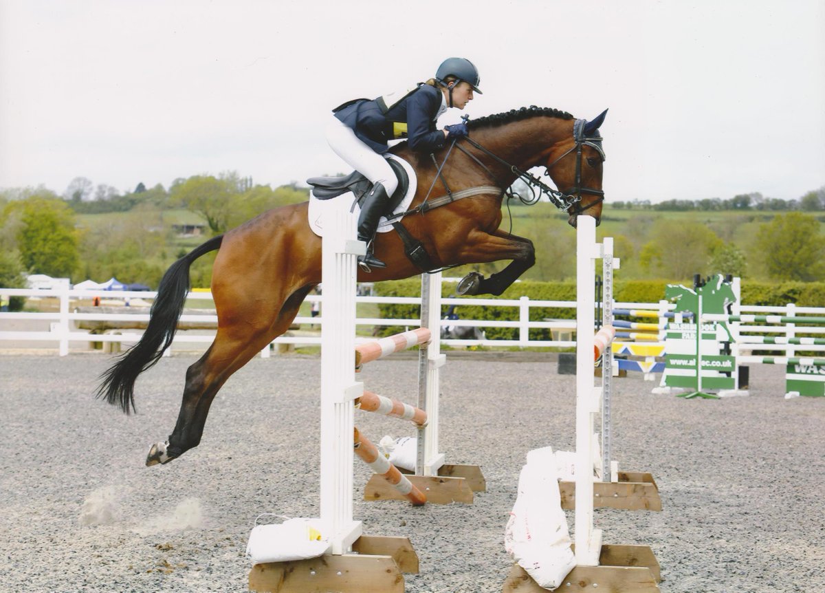 KatieDumas's tweet image. Long but good day yesterday @AstonEqC .My boy 'Buster' v grown up in the Int giving jockey classy xc ride #morepoints