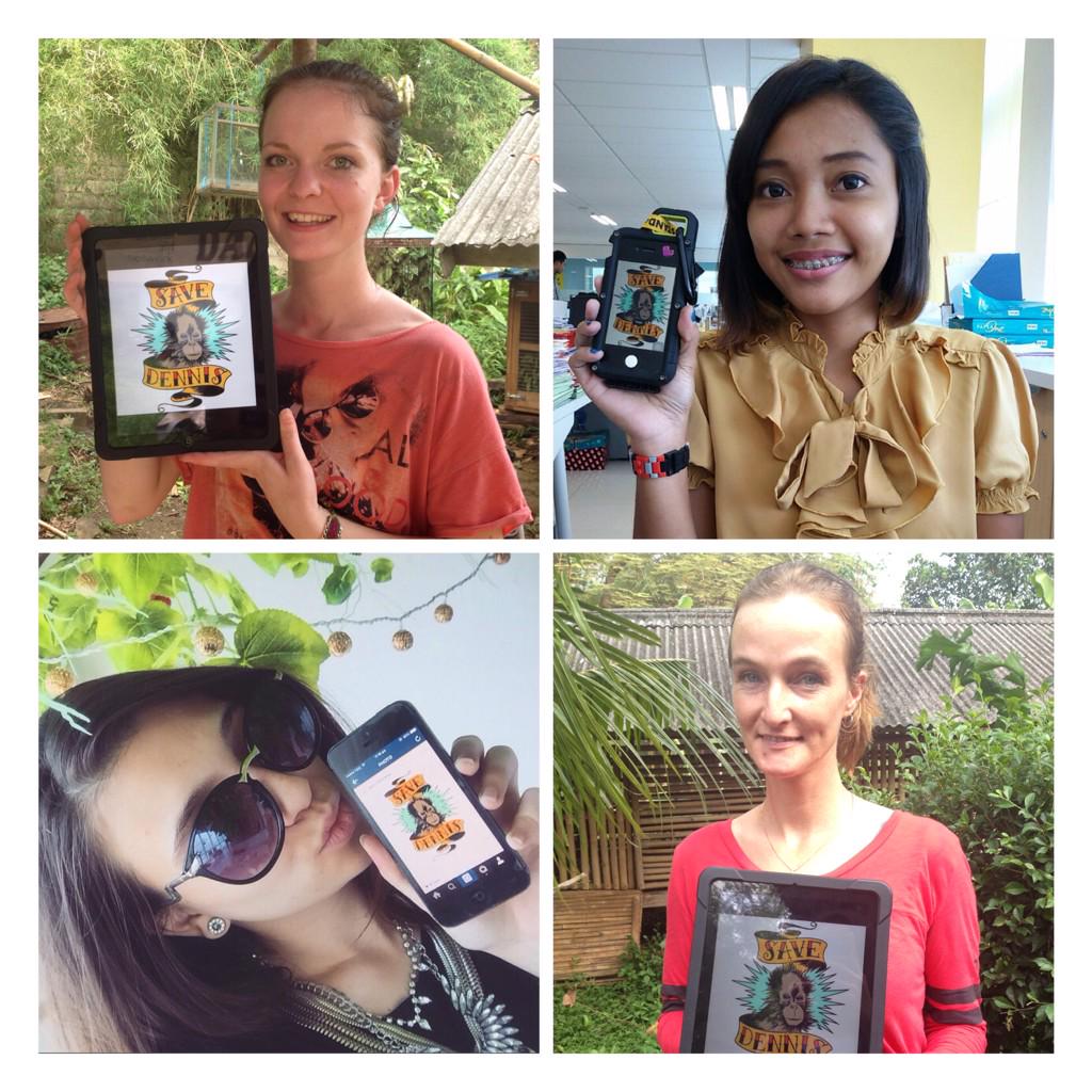 Jakarta Animal Aid tweet media