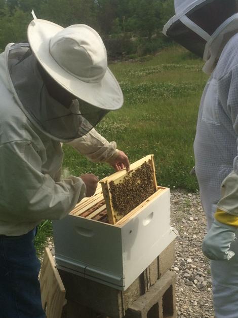 callahan_kyle's tweet photo. @ohccturf1 have to swap some honey at end of season. http://t.co/jMVos5ar7i