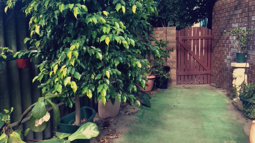 _melissaclaire_'s tweet photo. My secret garden is coming along nicely 😊 #secretgardenparty #gardening #beauty #flowers #nature http://t.co/jWIEnKSnLC