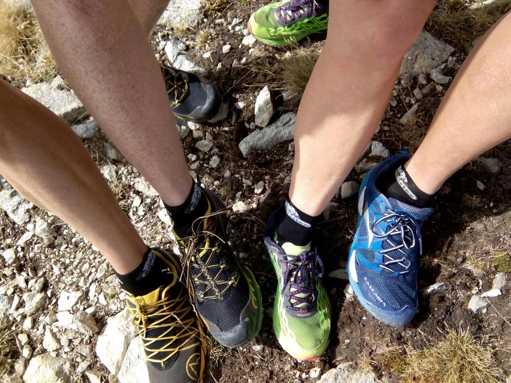 biotactex's tweet photo. Gràcies a l'Albert, el Micky, el Sergi i en Pere per fer-nos arribar aqiestes fotos! http://t.co/QRovfZZhCE