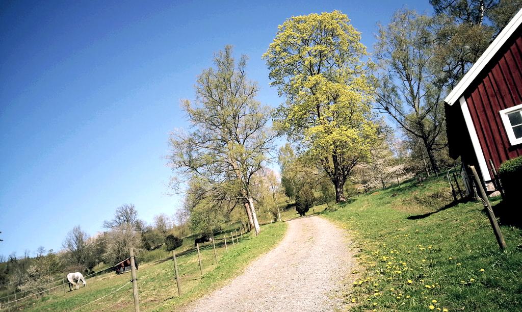 resmini's tweet photo. Current status. #withhorses http://t.co/6OyvxCHjIb