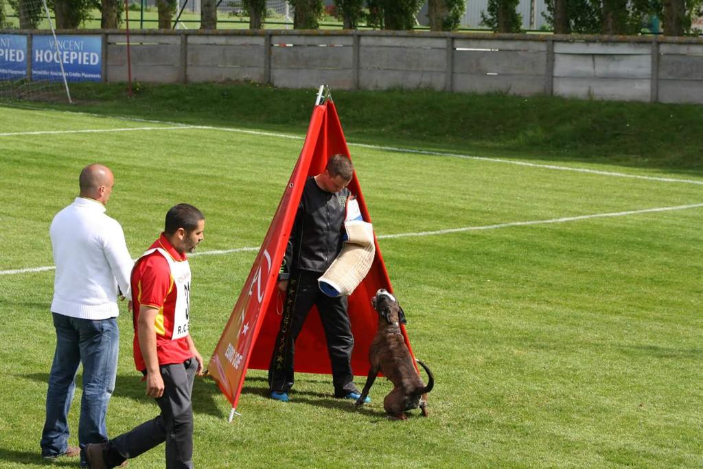 cuervonegroboxe's tweet photo. http://t.co/LOd8tZBolY